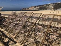 Nazare Trockenfisch am Strand