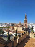 Carmona