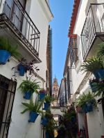 Córdoba
