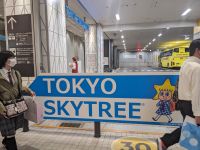 14. Skytree