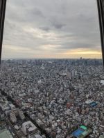 16. Skytree