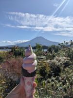 124. Eis am Mount Fuji