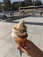 299. Nara Ausflugsabschluss