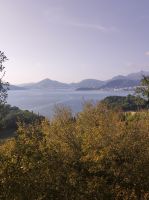 Skutarisee