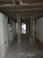 IMG_20231007_112941.jpg