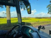 Hier blüht der Senf auch im Oktober