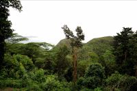 Blick von der Mission Lodge