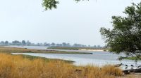 Namibia - am Okavango
