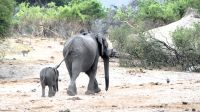 Namibia - Bootsfahrt auf dem Okavango