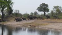 Namibia - Pirschfahrt im Mudumu Nationalpark - am Kwando