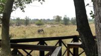 Namibia - Lianshulu Busch Lodge am Kwando - Frühstück mit Elefanten