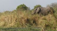 Namibia - Bootsfahrt auf dem Kwando