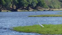 Botswana - Bootsfahrt auf dem Chobe