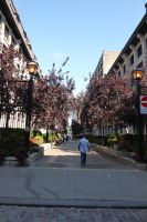 Impressionen Montreal