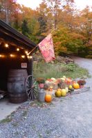 Ahornsyrup - Vortrag im Museum