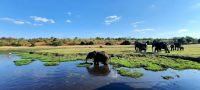 Botswana - Bootsfahrt auf dem Chobe