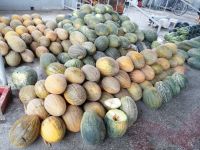 Auf dem Siab-Basar in Samarkand