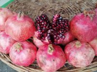 Auf dem Siab-Basar in Samarkand