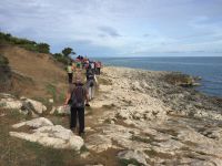 IMG 2614, über Stock und Stein