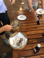 IMG 0149, Honig- und Olivenölverkostung