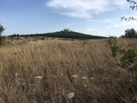 IMG 0159, letzter Blick auf das Castel del Monte