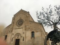 IMG 0290, 