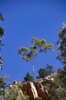 102 – Australien, Standley Chasm