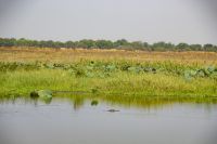 124 – Australien, Arnhemland