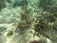 170.20 – Australien, Great Barrier Reef