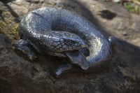 209 – Australien, Blue Mountains