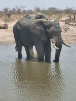 013 Unterwegs nach Nata