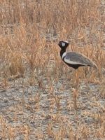 022 Salzpfannen bei Nata