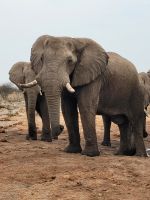 031 Unterwegs nach Maun