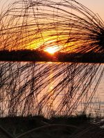 066 Thamalakane River Lodge