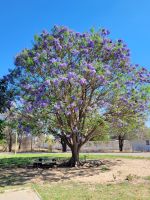 098  Willkommen in Namibia