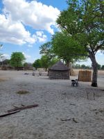 127 Unterwegs zur Namushasha Lodge