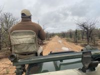 Fahrt im Jeep mit Ranger und Tracker