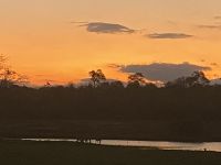 Sunset in the nature reserve