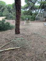 Donana Nationalpark