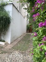 Gasse an der Kathedrale