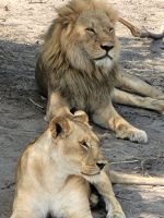 189 Chobe Nationalpark