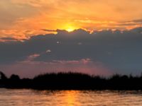 207 Bootstour auf dem Chobe