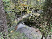 die Naturbrücke