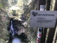 IMG_9135.jpeg