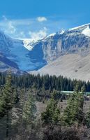 Auslaufgletscher des Columbia Icefields