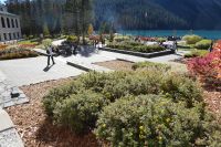 Fairmont Hotel Lake Louise