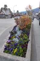 Jasper impressionen