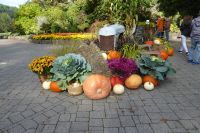 Butchards Garden
