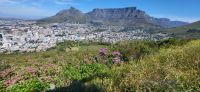 10 Blick vom Signal Hill