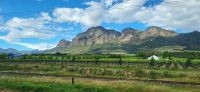 42 Winelands